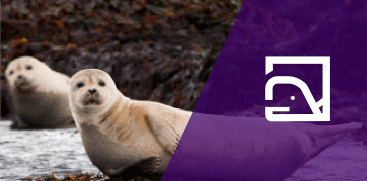 Wildlife Tours