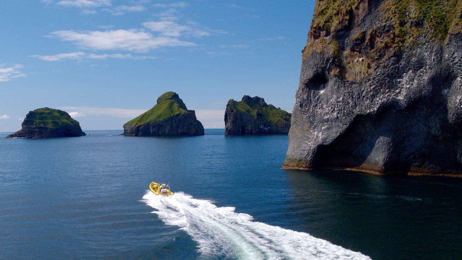 Rib Safarifast yellow boat speeding next to the elephant rock