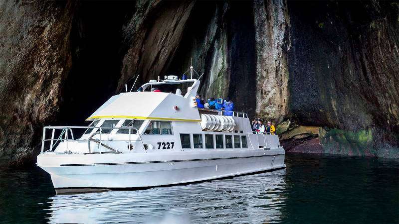 Beluga Boat Tour big white boat close to stone walls