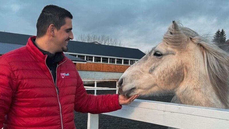 Person feeding an Icelandic horse outdoors in Iceland.