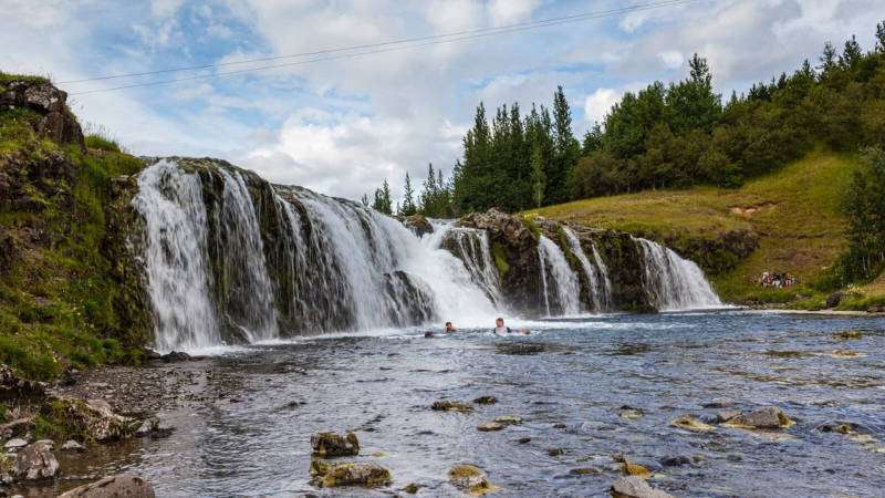 Icelandic waterfall with trees and cloudy sky