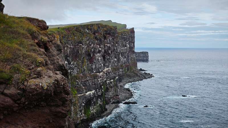Látrabjarg Cliffs