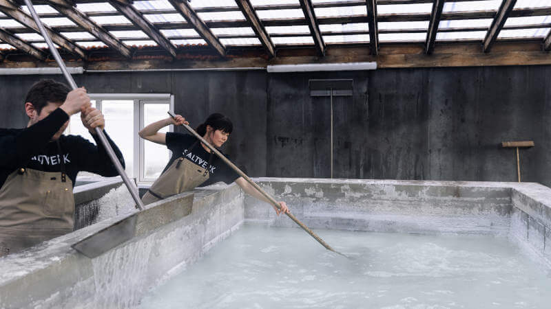 saltverk factory, harvesting salt
