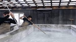 saltverk factory, harvesting salt